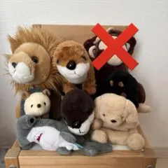 Item thumbnail for item 7b8d20e6-389e-40f1-a04f-6a5c8f9a0558