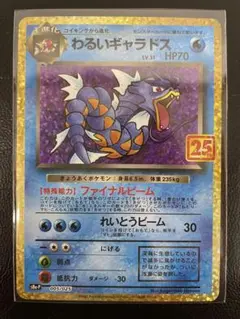 2025年最新】わるいギャラドス 25の人気アイテム - メルカリ