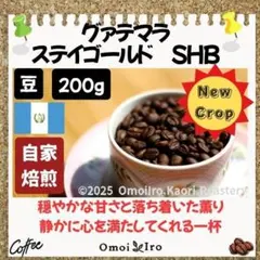 自家焙煎コーヒー豆 グァテマラ　ステイゴールド SHB 豆200gのサムネイル