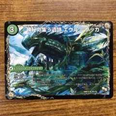 9815 神秘の集う遺跡エウルブッカ 1枚 DMR14