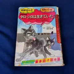 Item thumbnail for item d27b137a-2c0e-43b5-b226-e7efb2292aa6