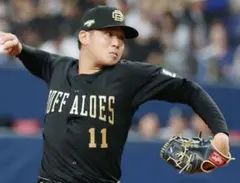 ローリングス　Rawlings　オーダーグラブのサムネイル