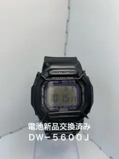 Item thumbnail for item 713e7362-afa2-47e0-bf02-c905a1376e84