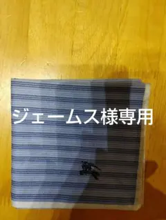 Item thumbnail for item 2fd5b436-a76a-41d6-b2f2-339d83977a46