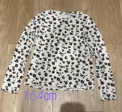 Item thumbnail for item 219443ef-e2f9-4baa-836f-3068de8a297a