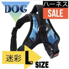 Item thumbnail for item de56f083-5ee8-488c-aab1-ca5eb33fa97e