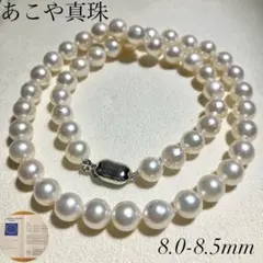 プラチナ使用 照り干渉色◎アコヤ真珠ベビーパールネックレス 極小約