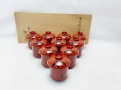ほぼ未使用 懐石道具 塗師 瓢斉作 木地朱竹節 竹蒔絵 小吸物椀 箸洗 十客共箱 ほぼ未使用 懐石道具 塗師 瓢斉作 木地朱竹節 竹蒔絵 小吸物椀 箸洗 十