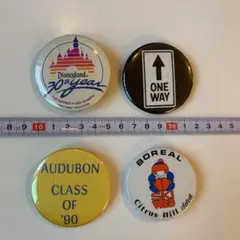 ディズニーランド30周年記念、S.F.のスキー場、One Way．その他のバッジ