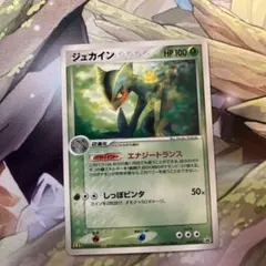 2025年最新】ジュカイン デルタの人気アイテム - メルカリ