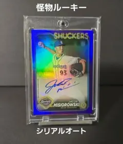 Item thumbnail for item 6b788901-8fd4-415d-9827-fde065325f0a