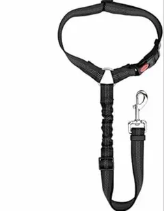 Item thumbnail for item cd723919-da00-43fa-9ddb-61950b8c42a4