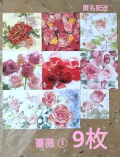 norinori様 リクエスト 2点 まとめ商品