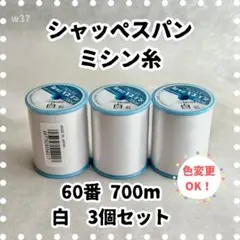 Item thumbnail for item 8c8d16d4-c435-459d-a952-820694e39cbf