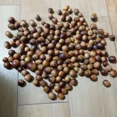 Item thumbnail for item 2df61e6e-6ef5-416e-976b-d031e1c481e4