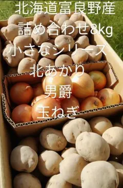 玉ねぎ皮　100㌔　特価　15万円 玉ねぎ皮 100㌔ 特価 15