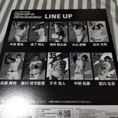 阪神タイガースクリアファイルコレクション森下