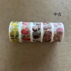 N様ご確認用です　リトル ブリリアント デイズ　マスキングテープ　作家 新品＆中古 リトル ブリリアント デイズ マスキングテープ 作家 廃番
