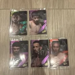 rizinカード　2025 クレベル　ケラモフ　ダウトベック　サトシ　元谷