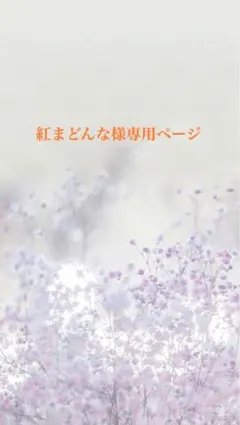 紅まどんな様専用ページ