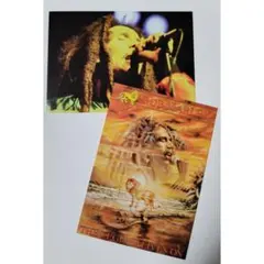 新品 未開封 レア ボブマーリー トレーディングカード THE LEGEND 新品 未開封 レア ボブマーリー トレーディングカード THE