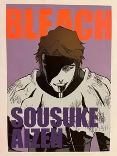 最安値⭐︎ BLEACH 藍染惣右介 ステータスカード 第1弾 アクリルカード