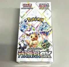 2025年最新】テラスタルフェス boxの人気アイテム - メルカリ