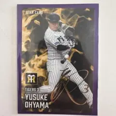 Item thumbnail for item 335d0fe5-0c91-42d7-a92f-dbd2e0256baa