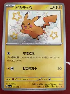 チキン様 リクエスト 2点 まとめ商品