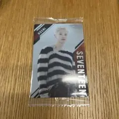 未開封　セブチ　レア　ホシ　SVTツインウエハース　HOSHI　シール　カード