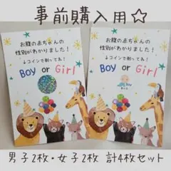 男女2枚 計4枚、ジェンダーリビール、性別報告、性別発表、母子手帳、エコー写真