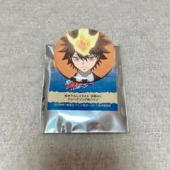 家庭教師ヒットマンREBORN 沢田綱吉　缶バッジ