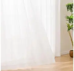 レースカーテン カーテン