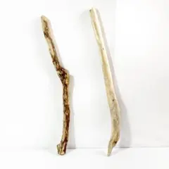 Item thumbnail for item 151711d5-5f0a-4151-b238-62af99ea259b