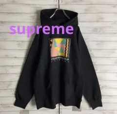 supreme シュプリーム　肉厚パーカー