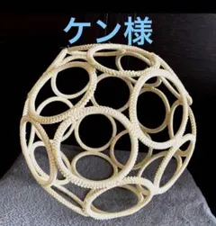 ケン様専用♡球体バードジム