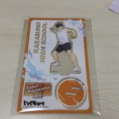 ハイキュー!! 影山飛雄 アクスタ 水遊び