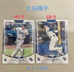 Item thumbnail for item 93518356-537b-4741-bf1d-34662ef886c7