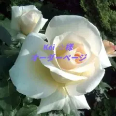 Kei ☆様専用ページ