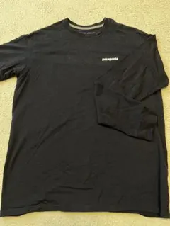 patagonia Mサイズ 長袖カットソー