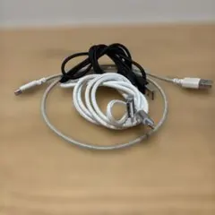 iPhone 充電ケーブル Lightning USB ３本セット