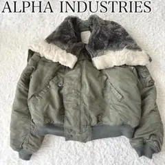 2026年最新】ALPHA MIL-J-6278Fの人気アイテム - メルカリ