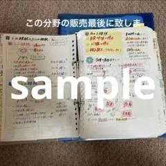 看護過程ノート (母性疾患ver) USBメモリ - メルカリ