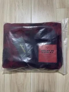 Item thumbnail for item 7403455f-5efa-475b-b32e-8d08da045dfc