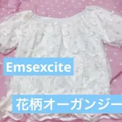 Emsexcite♡花柄刺繍オーガンジーパフスリーブトップス