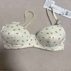 Item thumbnail for item 9ac50aae-e4c4-490c-a325-e2c0a52fe66b