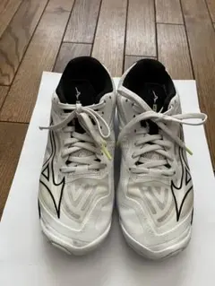23㎝ Mizuno Wave Lightning Z6 バレーボールシューズ