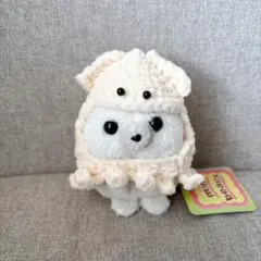 イカちゃん　あみぐるみ　ハンドメイド　手編み ぬい活　ぬい服 着せ替え