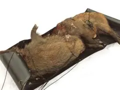 shinsan様 リクエスト 2点 まとめ商品