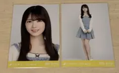 ひめたんの隠しミートボール様 リクエスト 2点 まとめ商品